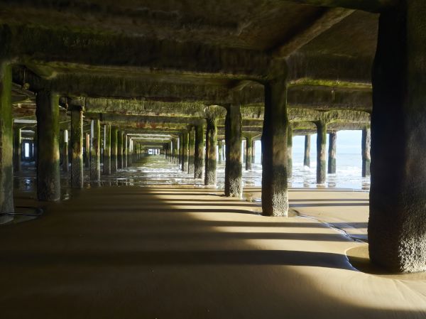 Cost of Concrete Pier Repair in Novi